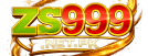 ZS999